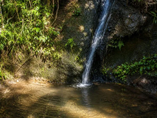 Imagem: Sítio para Venda em Rio Bonito, 2 dormitórios