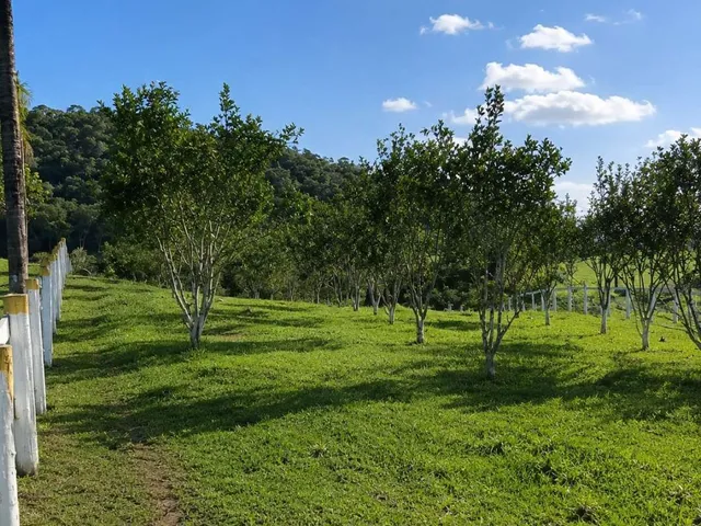 Imagem 11: Haras para Venda em Itaboraí, Sambaetiba, 2 dormitórios, 1 banheiro