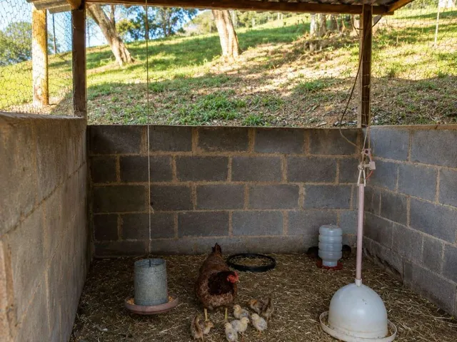 Imagem 5: Haras para Venda em Itaboraí, Sambaetiba, 2 dormitórios, 1 banheiro