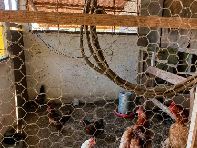 Imagem 2: Haras para Venda em Itaboraí, Sambaetiba, 2 dormitórios, 1 banheiro