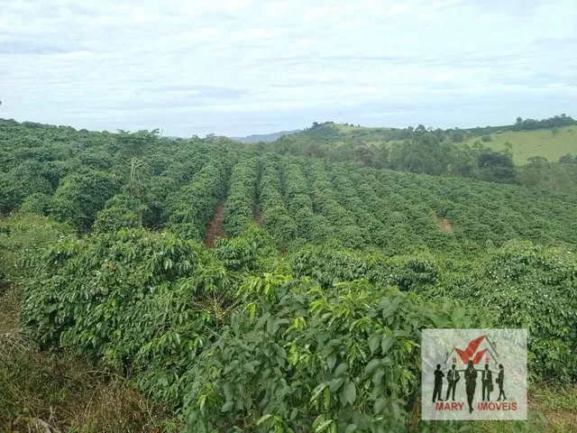 Imagem: Sítio À Venda no Bairro Centro - Caconde/Sp