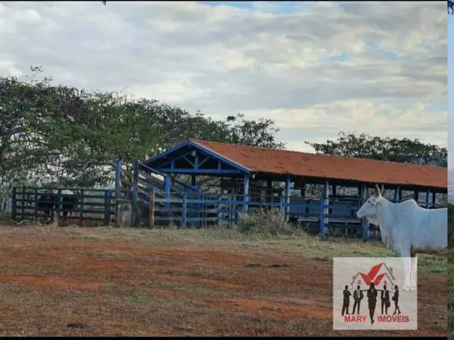 Imagem: Fazenda À Venda no Bairro Centro - Conquista/Mg