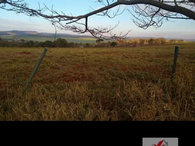 Imagem 7: Fazenda À Venda no Bairro Centro - Conquista/Mg