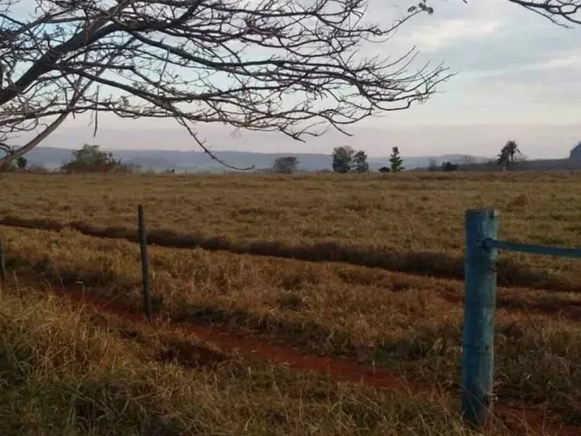 Imagem 2: Fazenda À Venda no Bairro Centro - Conquista/Mg