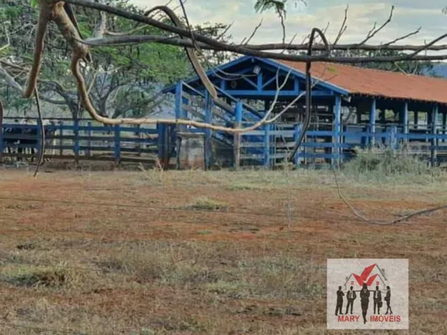 Imagem 4: Fazenda À Venda no Bairro Centro - Conquista/Mg