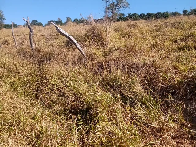 Imagem: Sítio À Venda em Poços de Caldas/Mg