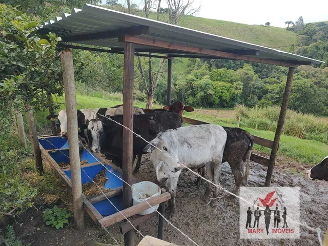 Imagem 12: Sítio À Venda no Bairro Centro - Poços de Caldas/Mg