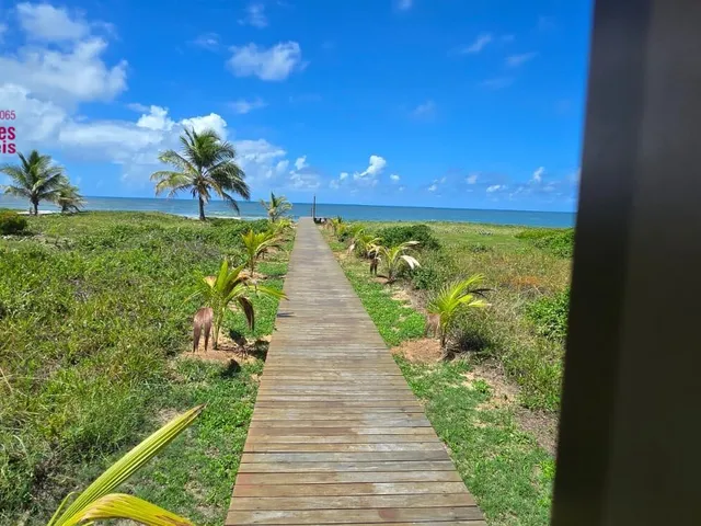 Imagem 4: 0 Apartamento com 3 dormitórios
