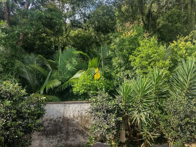 Imagem 5: Casa em Benedito Novo