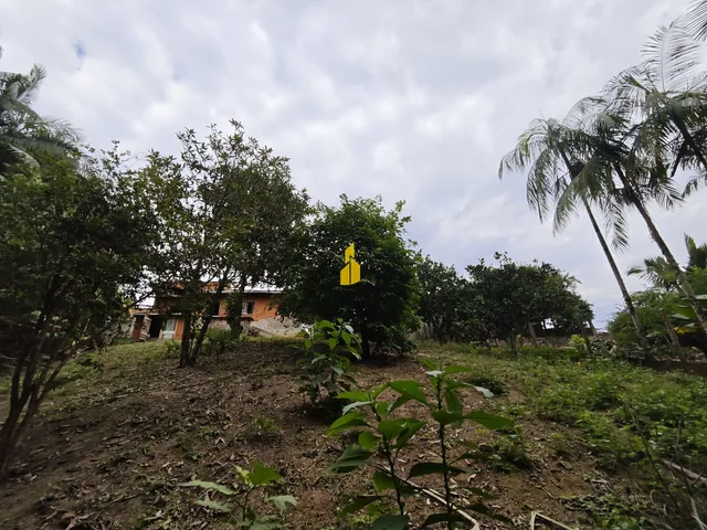 Imagem 11: Terreno À Venda nas Estradas das Areias em Indaial