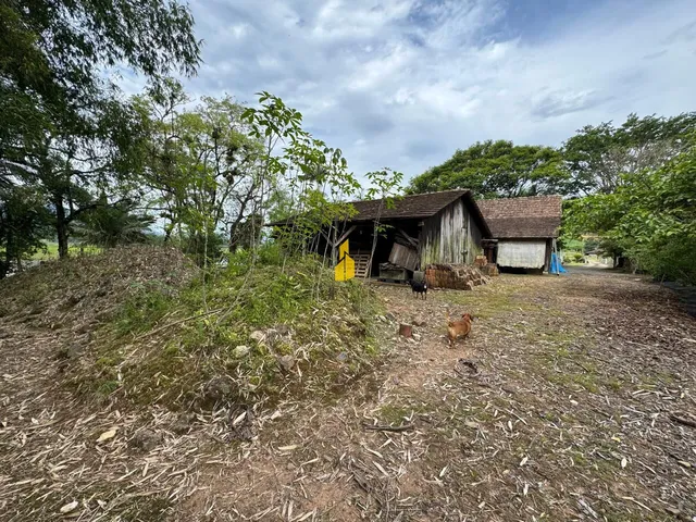 Imagem 10: Sítio À Venda no Bairro Tiroleses - Timbó/Sc
