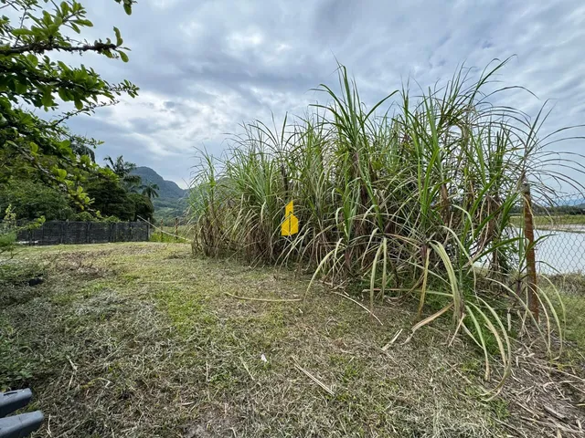 Imagem 6: Sítio À Venda no Bairro Tiroleses - Timbó/Sc