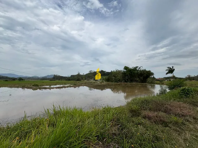 Imagem 7: Sítio À Venda no Bairro Tiroleses - Timbó/Sc