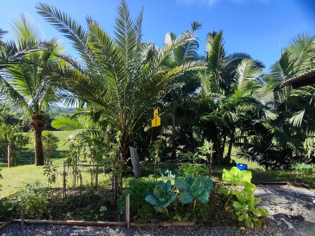 Imagem 3: Mini-Sítio em Rio dos Cedros
