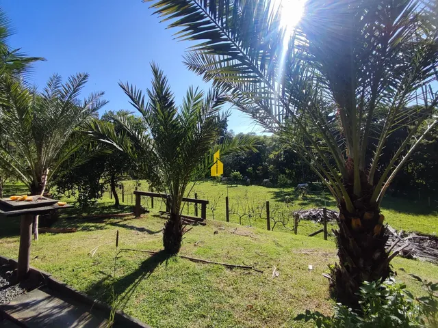 Imagem 15: Mini-Sítio em Rio dos Cedros