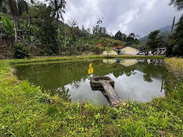 Imagem: Sítio Á Venda em Rio dos Cedros/Sc