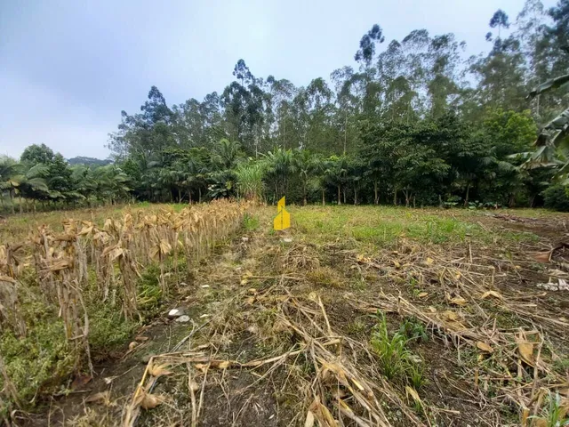 Imagem 7: Casa com Amplo Terreno no Bairro Pomeranos