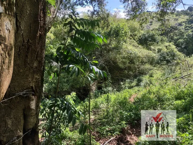 Imagem 15: Sítio À Venda no Bairro Centro - Caldas/Mg