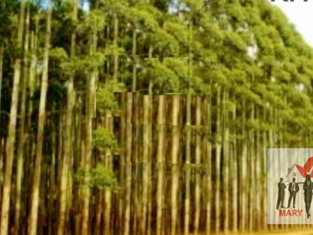 Imagem 3: Fazenda À Venda no Bairro Central Park - Ribeirão Preto/Sp
