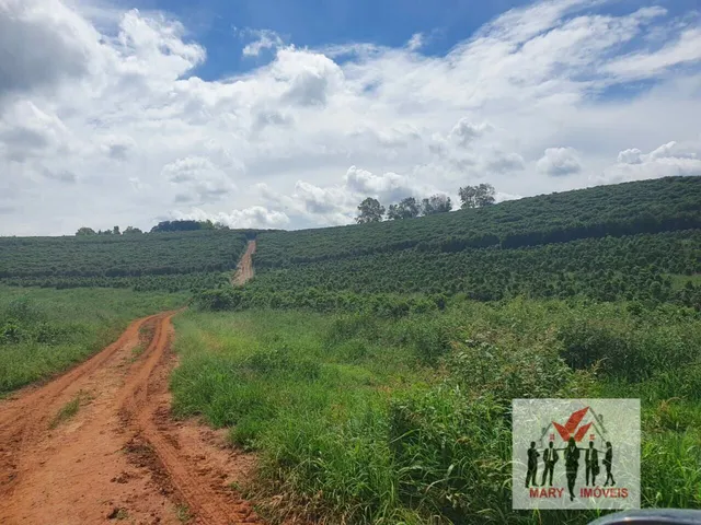Imagem 12: Fazenda À Venda no Bairro Centro - Caxambu/Mg