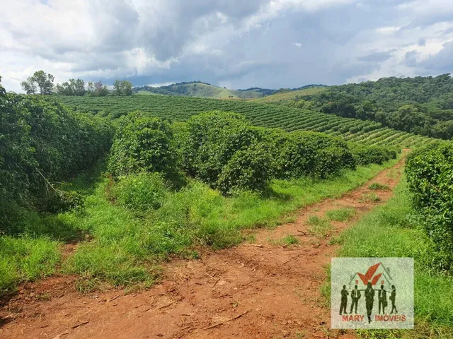 Imagem 6: Fazenda À Venda no Bairro Centro - Caxambu/Mg