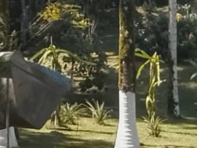 Imagem 7: Chácara em Centro, Antonina/PR