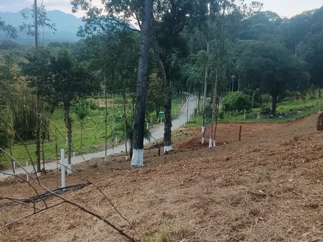 Imagem 4: Chácara em Centro, Antonina/PR