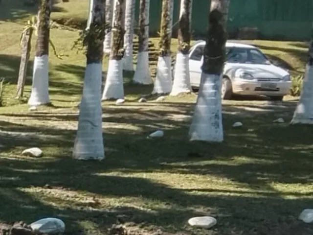 Imagem 9: Chácara em Centro, Antonina/PR