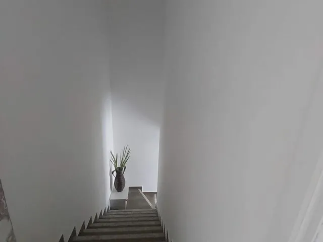 Imagem 12: Rua Jabaquara Casa com 3 dormitórios