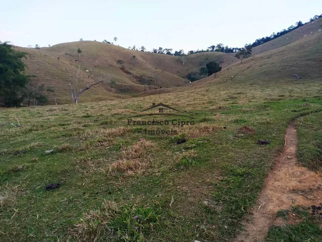 Imagem 12: Fazenda À Venda no Bairro Jardim Alvorada - Jacareí/Sp
