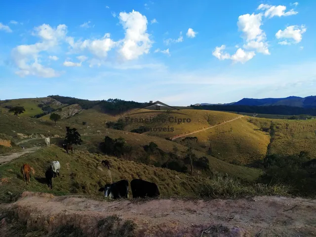 Imagem: Fazenda À Venda no Bairro Catioca - Cunha/Sp