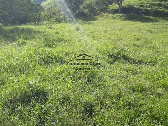 Imagem 8: Sítio à venda no bairro Biguá - Delfim Moreira/MG