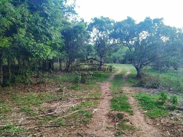 Imagem: Terreno Terreno
