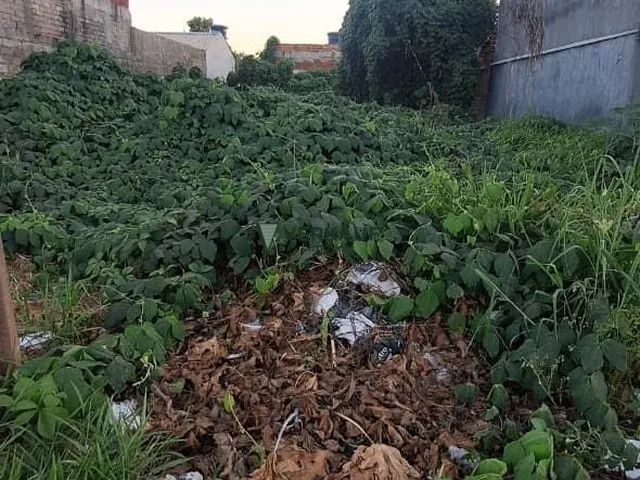 Imagem: O terreno possui 360m² de Área e está localizado em