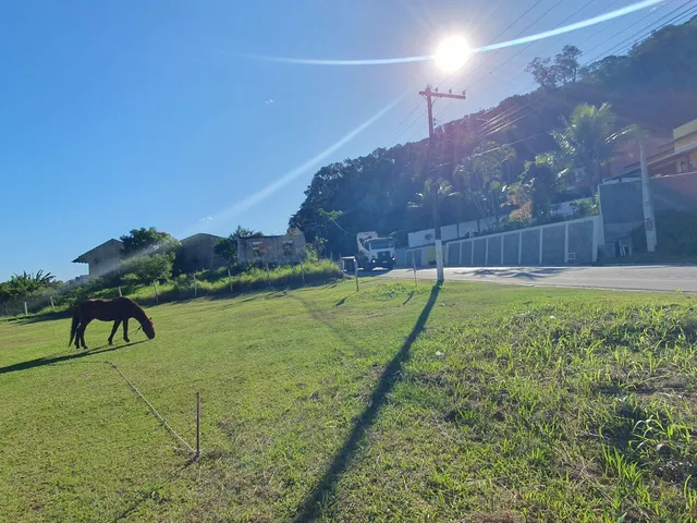 Imagem 4: Terreno Comercial e Residencial