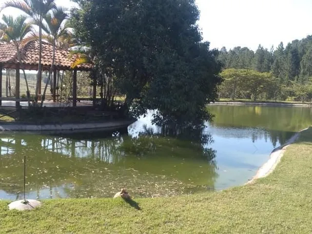 Imagem 16: Fazenda a Venda Região de Bauru Sp