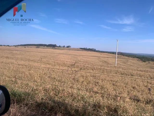 Imagem 15: Fazenda a Venda Região de Bauru Sp