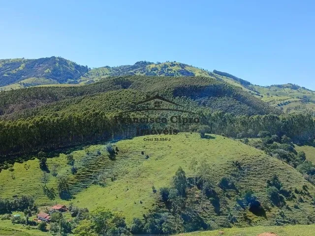 Imagem: Fazenda À Venda no Bairro Campos Novos
