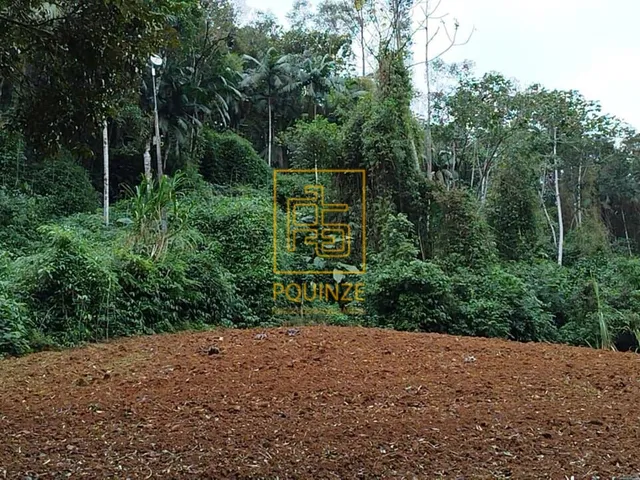 Imagem: Terreno em Benedito Novo
