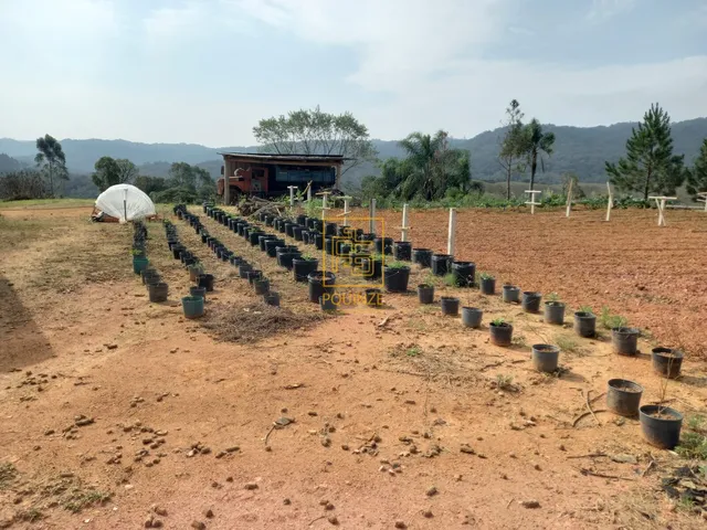 Imagem 11: Encantador Terreno Rural com Casa e Lago em Rio dos Cedros