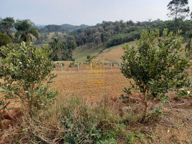 Imagem 5: Encantador Terreno Rural com Casa e Lago em Rio dos Cedros