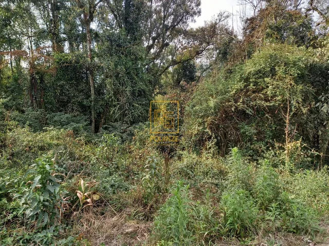 Imagem 10: Encantador Terreno Rural com Casa e Lago em Rio dos Cedros