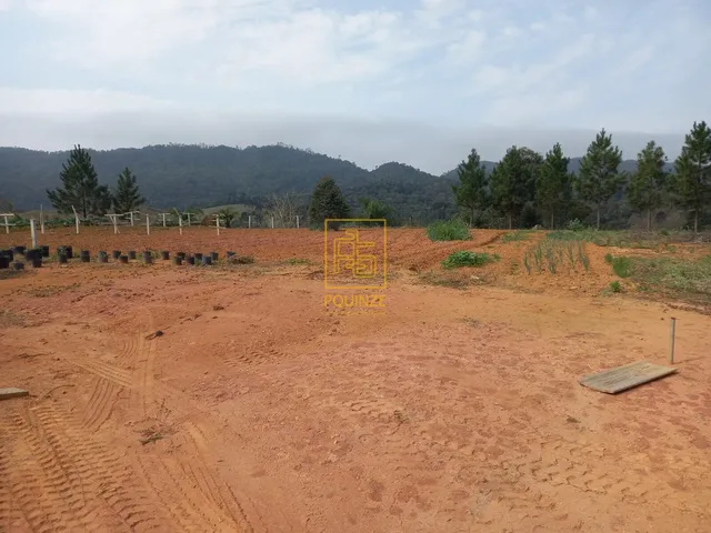 Imagem 7: Encantador Terreno Rural com Casa e Lago em Rio dos Cedros