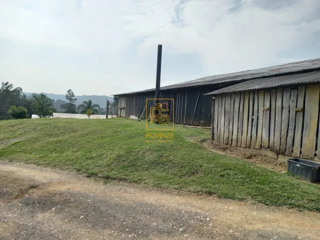 Imagem 3: Encantador Terreno Rural com Casa e Lago em Rio dos Cedros