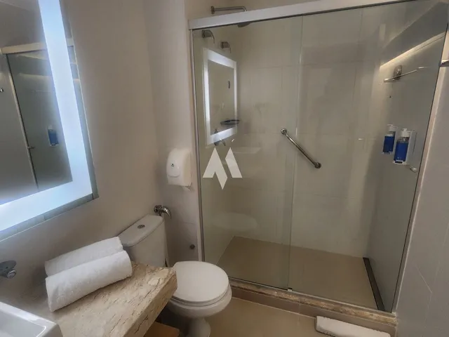 Imagem 13: Apartamento Mobiliado, 1 Dormitório, Pompeia, (Home Stay), 1 Vaga
