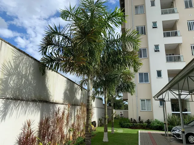 Imagem 8: Apartamento 3 Quartos 71m2 em Pirabeiraba