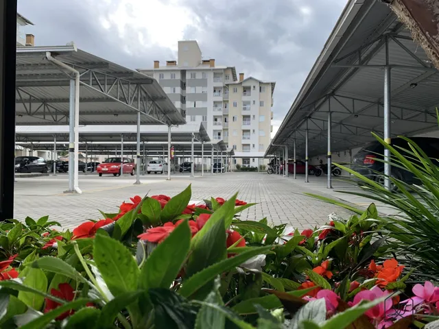 Imagem 12: Apartamento 3 Quartos 71m2 em Pirabeiraba