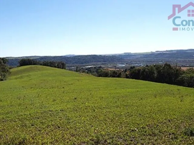 Imagem: Área Rural 11,00 Alqueires - Lagoão