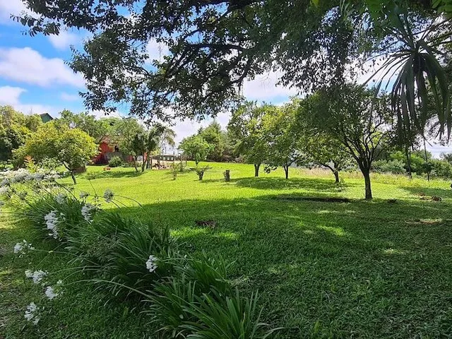 Imagem 6: Casa Comercial + Casa Residencial