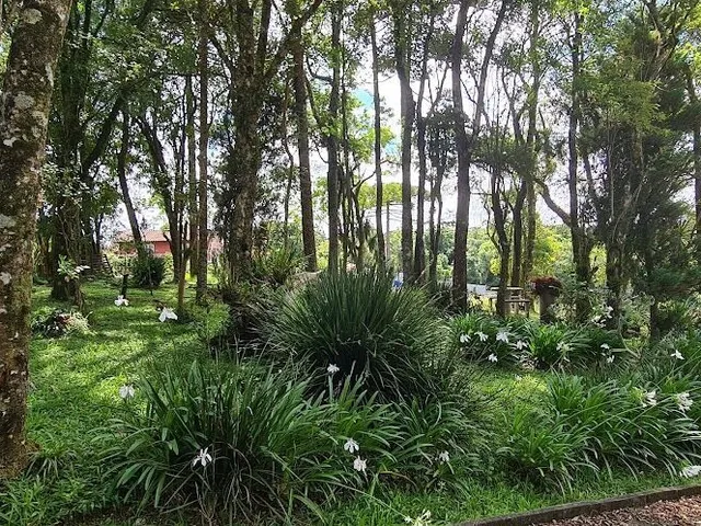 Imagem 5: Casa Comercial + Casa Residencial